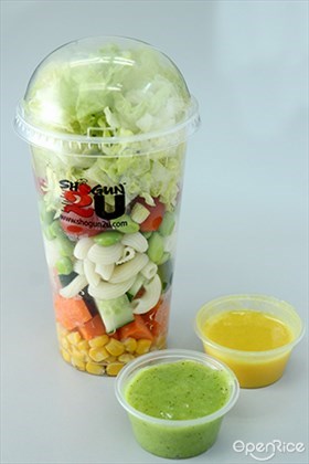 shogun2u, shake&ho, salad