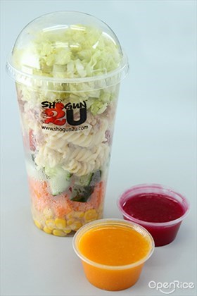 shogun2u, shake&go, salad