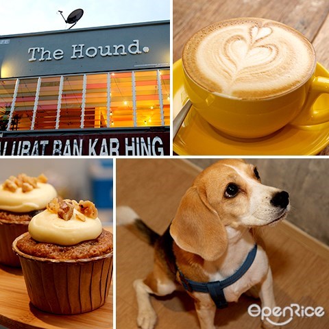 pet cafe, the hound, dog, taman oug