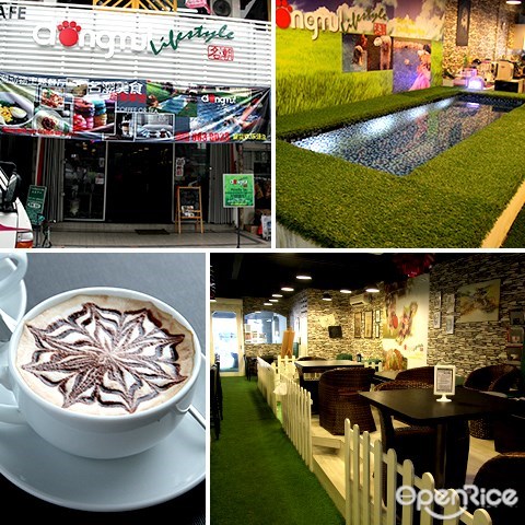 kepong, cafe, maluri, dongmul lifestyle, dog cafe, swimming pool