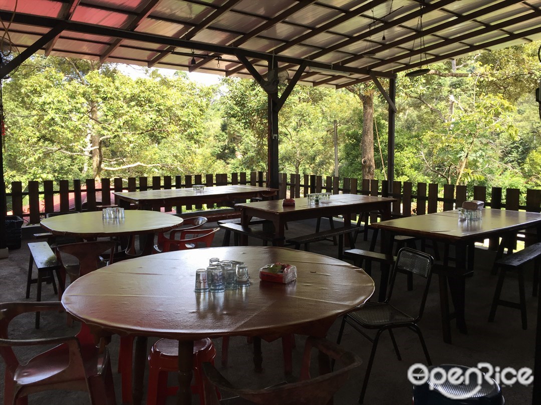 Durian Rumah Batu - Malaysian variety in Balik Pulau Penang ...